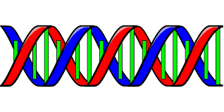 Pin On Dna