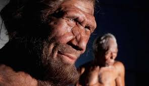 Neanderthals, study reveals: they became extinct due to the inversion of  the magnetic poles