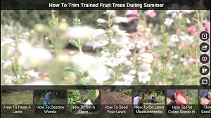 The page you requested was not found, and we have a fine guess why. Garden Channel By Fawesome Tv For Android Apk Download