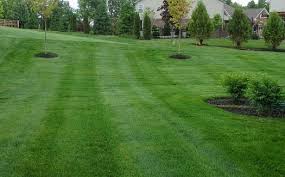 Simply enter your zip code and the square footage, next click update and you will see a breakdown on what it should cost to have lawn mowing service installed onto your home. How Much Does Lawn Care Cost In Nky Find Out Here