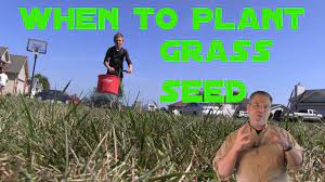 When To Plant Grass Seed Lawn Care Tips Planting Grass Seed Planting Grass Grass Seed