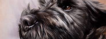 100% handmade custom pet portraits. Pet Portrait Artist Pet Portraits Commissions