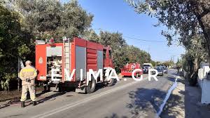 Γι αυτοσ συνεχιζουν και σκοτωνουν στα νοσοκομεια σαν λυσσασμενοι , και εχουν βαλει φωτια στο πρωτοκολλο του θανατου ;;; Pyrosbestikh Emak Ypoxrewtikos O Emboliasmos Ektos Yphresias Osoi Arnh8oyn Evima Eidhseis Eyboia