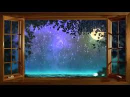 Relajarse Sonidos De La Naturaleza Bosque Por La Noche Meditacion Dormir Y Relajarse Youtu Musica Naturaleza Musica De Meditacion Musica Para Relajarse