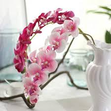 Maybe you would like to learn more about one of these? Artificial Orchids Online Buy Silk Orchids