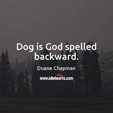 Dog is god spelled backwards! Dog Is God Spelled Backward Idlehearts