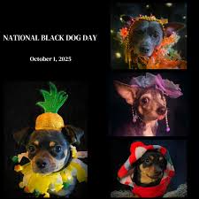 hikariyanghuali xxx patung wanita cantik anna knopavika kttiemilk porno  chere alice zimmermann instagram picuki _nadiasosa23 alisha asghar nude 📥  www.fazri.my.idpdownload-240p-sd-426x240.html?7y6tufygtg8