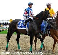 2009 Preakness Results