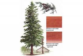 Its natural oils are insect and decay resistant, and left in its natural state it remains beautiful and aesthetically pleasing. Cedar Western Red