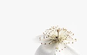 Join robin from the clinical nutrition team as she takes you on a virtual tour of a grocery store. Live Well With Michelle Health Coach And Natural Practitioner Based In New York