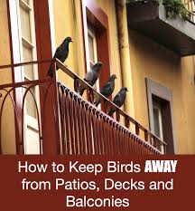 How To Keep Birds Away From Patios Decks And Balconies Keep Birds Away Bird Repellents Birds