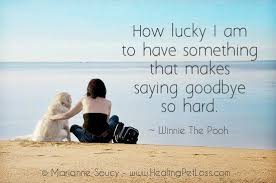 1 a good dog never dies. Pin On Healing Pet Loss Tips