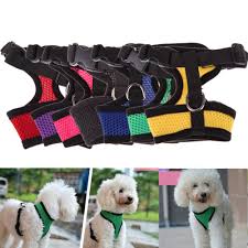Bưởi Da Xanh Vĩnh Yen Vĩnh Phuc Redirect Pet Harness Dog Harness Puppy Harness