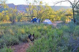 Below are my top picks for the best places to camp in texas: 12 Best Places To Camp In Texas Planetware