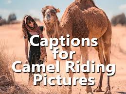 During exercise, you should be able to sing one round of happy birthday without running out of breath. Camel Quotes Camel Ride Instagram Captions Funny Inspiring Motivational Imagenestur