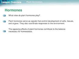 Lesson Overview 24 3 Plant Hormones Ppt Download