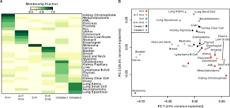 The jade ribon represents liver cancer. Plos One Prominent Features Of The Amino Acid Mutation Landscape In Cancer