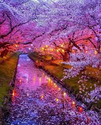 طبیعت زیبای ژاپن - ویسگون