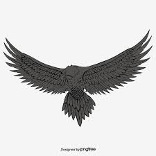 الصقور الشرسة صور المتجهات مع المواد Png In 2020 Illustration Fierce