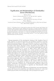 Image result for Cheilanthes schimperi