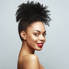 By kenneth | click here to learn how to go natural and grow long hair in less than 30 days. Natural Hairstyles For Black Women 56 Fabulous Looks
