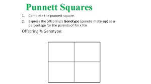 This square was designed and created by reginald punnett, who is shown in the image below. Chapter 7 Genetics Punnett Squares Dominant Genes The