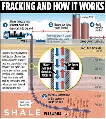 1 capote amelia fracking sutori