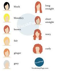 Beauty Salon Vocabulary Beauty Salon Vocabulary Beauticians