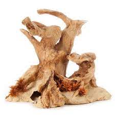 Null Bearded Dragon Bearded Dragon Habitat Bearded Dragon Care