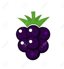 Blackberry Fruit Vector Illustration Fruit Illustration Vector Illustration Illustration