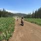 2026 Ride Reno 200