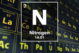 نتیجه جستجوی لغت [nitrogen] در گوگل