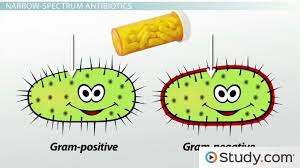 Types Of Antibiotics Bactericidal Vs Bacteriostatic Narrow Spectrum Vs Broad Spectrum