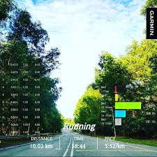 Check spelling or type a new query. Muss Damit Instagram Profile With Posts And Stories Picuki Com