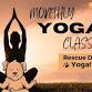 Rescue Dog Yoga at The Laundromutt (EUGENE)