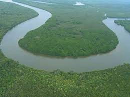 Check spelling or type a new query. Malaysia Borneo Sabah 3 Day 2 Night In Gomantong Cave Kinabatangan