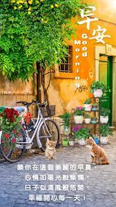 happy every day good morning greetings morning greeting cute good morning