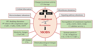 Sepsistrust.org sepsis six pathway to be applied to all adults and young people over 12 years of age with suspected or confirmed red flag sepsis your logo if after delivering the sepsis six, patient still has: Frontiers Targeting Complement Pathways In Polytrauma And Sepsis Induced Multiple Organ Dysfunction Immunology