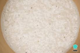 Como Hacer Masa Madre Para Pan Recetas Que Es Y Beneficios En 2020 Masa Madre Recetas De Comida Harina De Arroz Integral