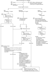 Microcytic Anemia An Overview Sciencedirect Topics