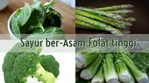 Jenis sayuran yg mengandung asam folat. Daftar Sayuran Yang Merupakan Makanan Mengandung Asam Folat Tinggi Inuel S Personal Blog