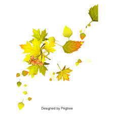 All autumn leaves png images are displayed below available in 100% png transparent white background for free download. Cartoon Simple Hand Painted Autumn Leaf Design Leaves Autumn Clipart Leaves Clipart Png Transparent Clipart Image And Psd File For Free Download Leaf Clipart Leaf Design Hand Painted