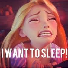 370 1L tidbits ideas