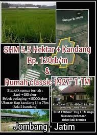 Maybe you would like to learn more about one of these? Agen Tanah Dan Properti Amanah Home Facebook