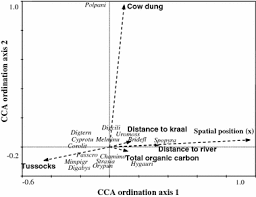 Image result for Courtoisina assimilis