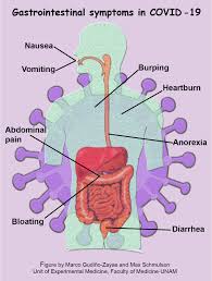 Updated average diseases deaths per day. Gastrointestinal Symptoms Can Be Manifestations Of Covid 19 Rome Foundation