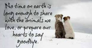 No Time On Earth Is Long Enough To Share With The Animals We Love Or Prepare Our Hearts To Say Goodbye Dog Poems Pet Grief Pet Loss Grief