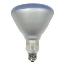 Ge 120 Watt R40 Plant Light Bulb 21000 Blain S Farm Fleet