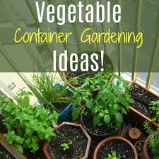 Container gardening fragrant plants hoyas. Vegetable Container Gardening Ideas For Indoor Or Outdoor Gardening