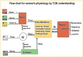 Womens Physiology Flow Chart Ivory Bai Yan